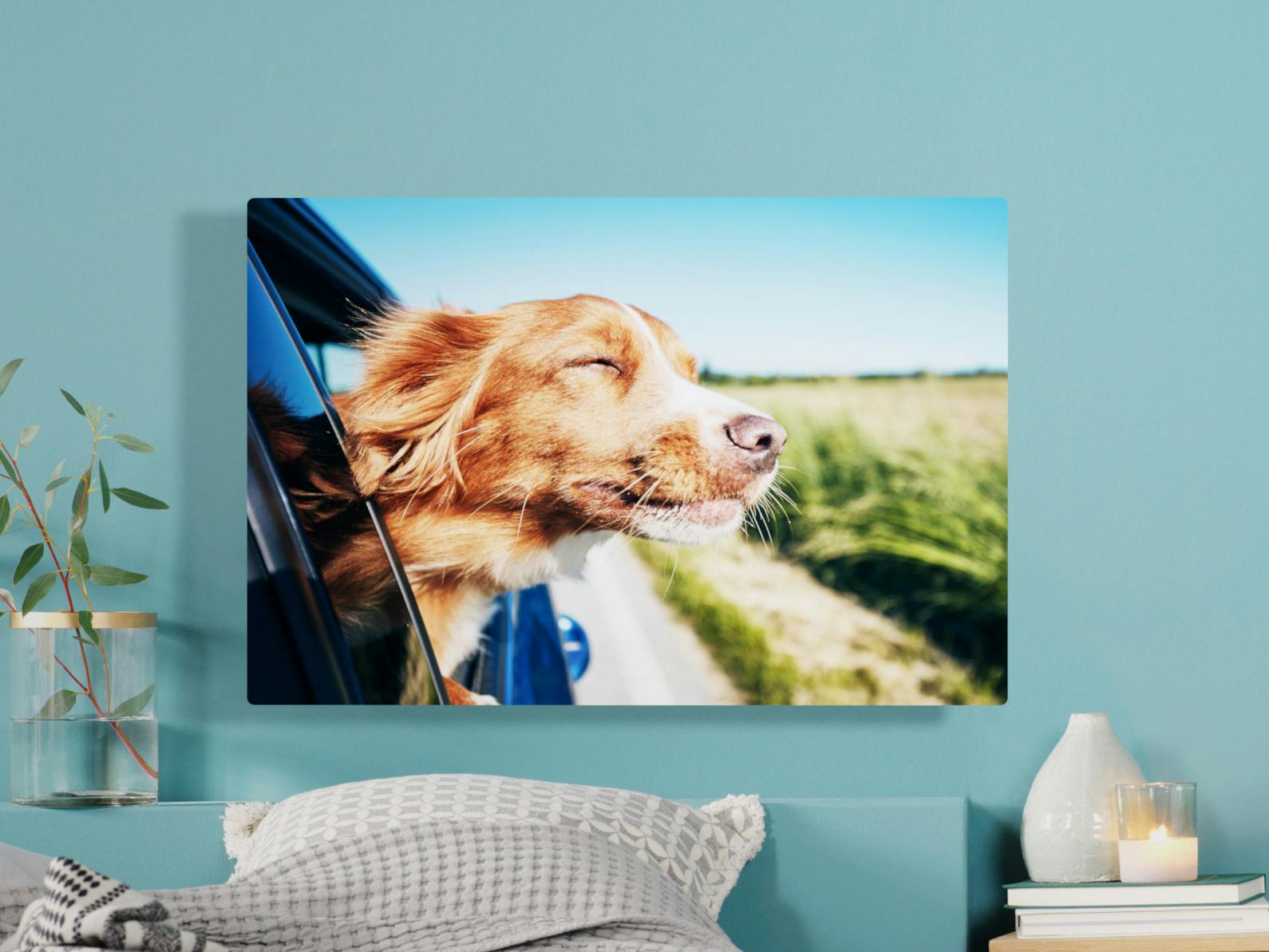 Foto auf Alu-Dibond mit Foto eines Hundes der den Kopf aus dem geöffneten Autofenster in die Sonne streckt
