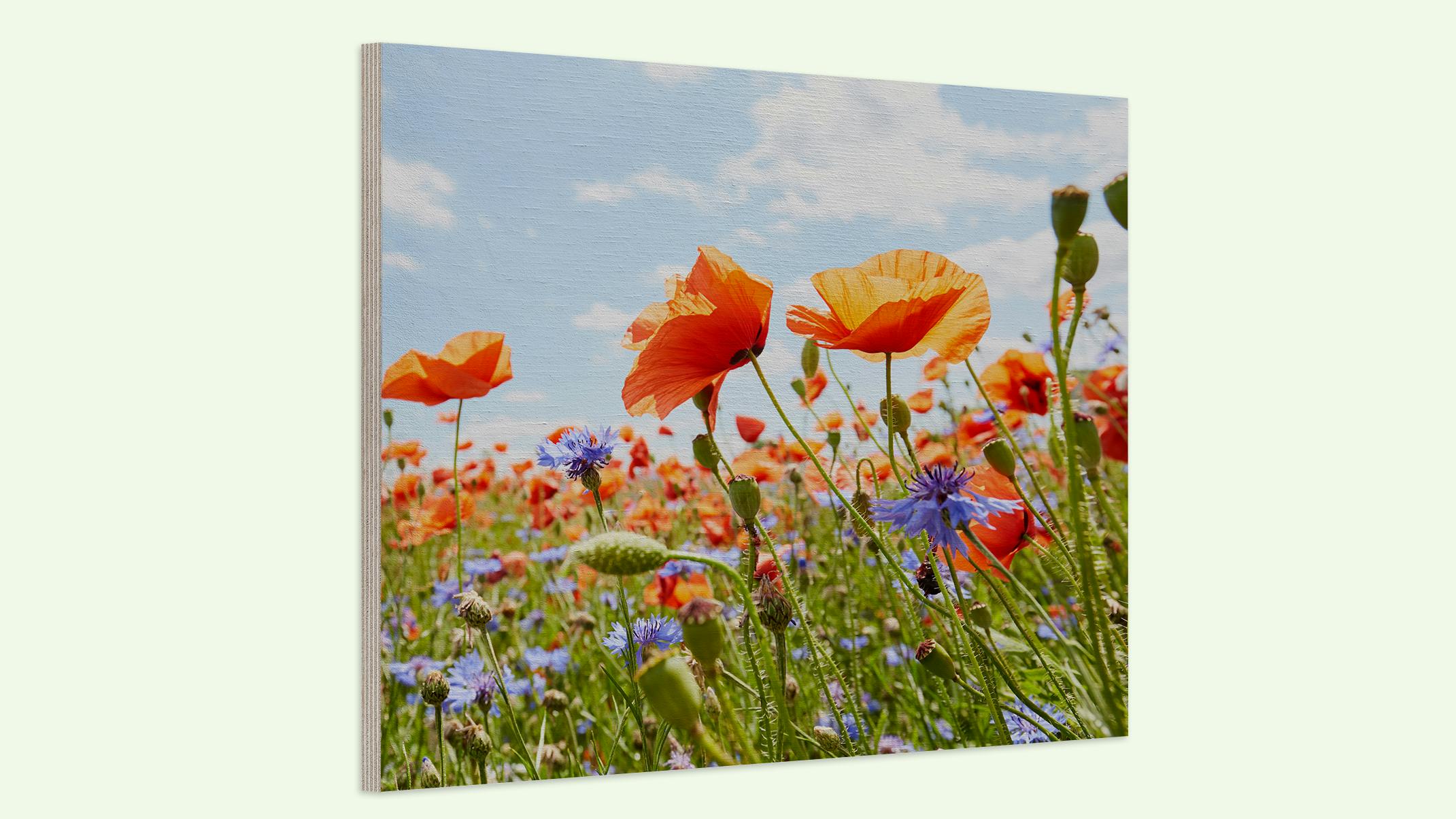 Tableau photo sur bois avec une image de fleurs