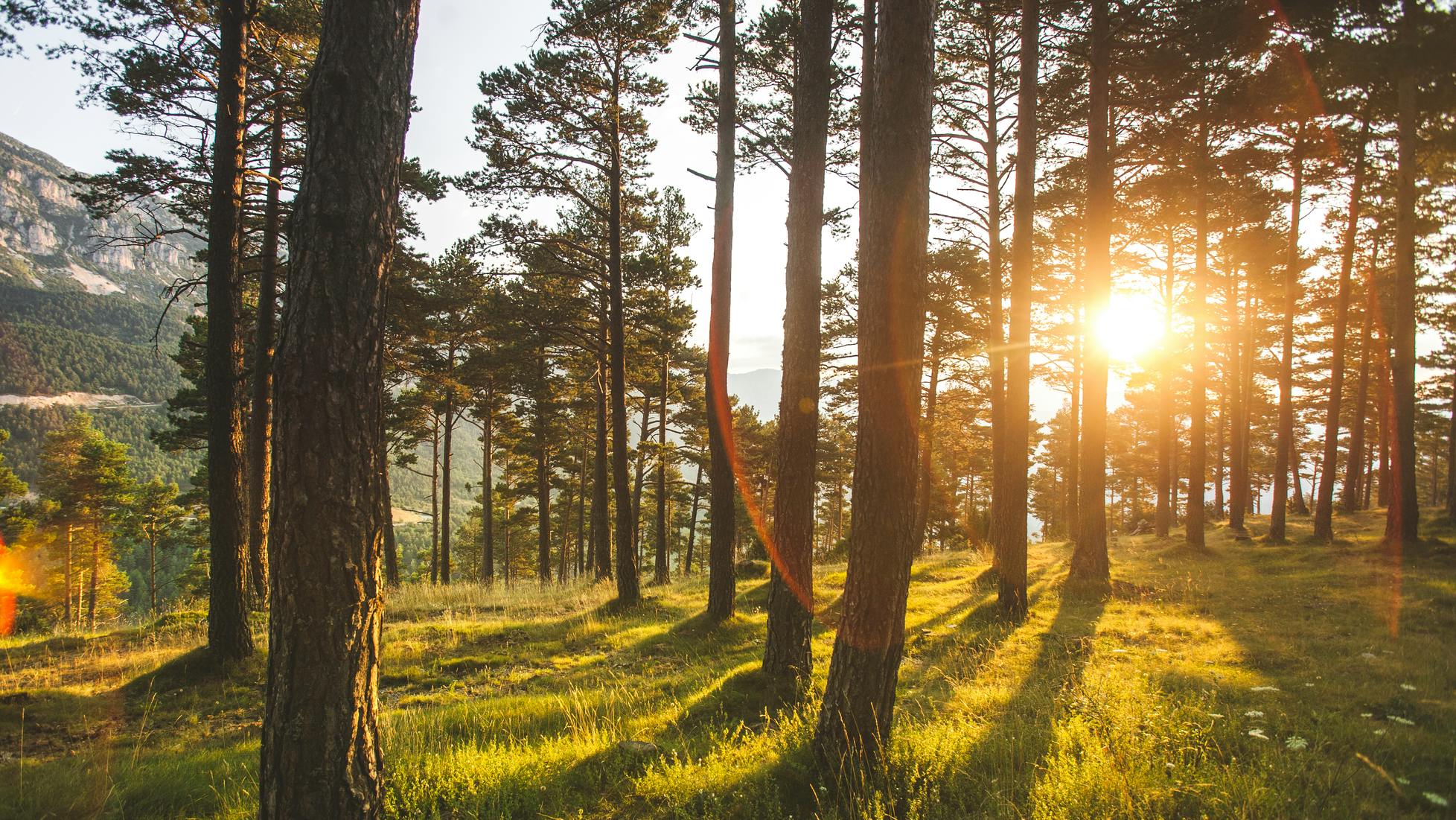 Discover sustainability at Pixum