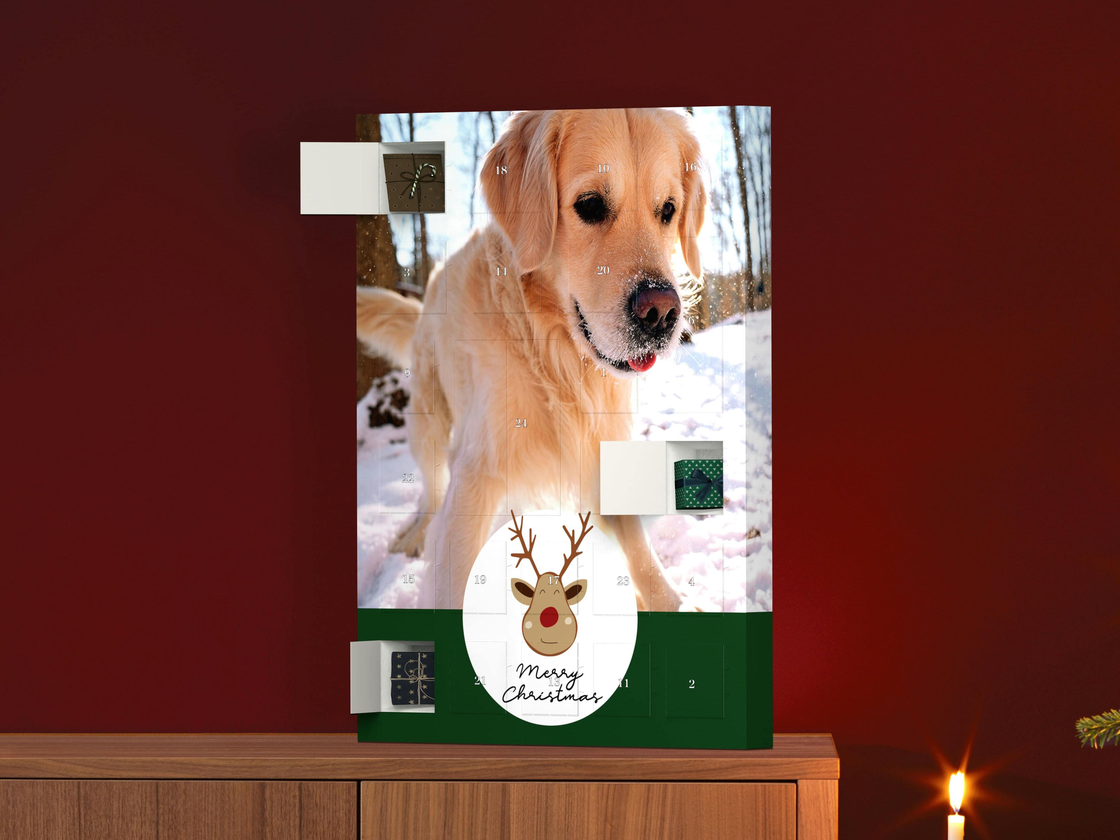 Calendario de Adviento personalizado para rellenar con fotos de un perro