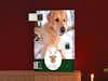 Fyld-selv-julekalender med foto i højformat med motiv af hund i julede omgivelser