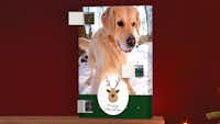 Foto-Adventskalender zum Selbstbefüllen Foto-Adventskalender zum Selbstbefüllen im Hochformat mit einem Hundemotiv im weihnachtlichen Ambiente