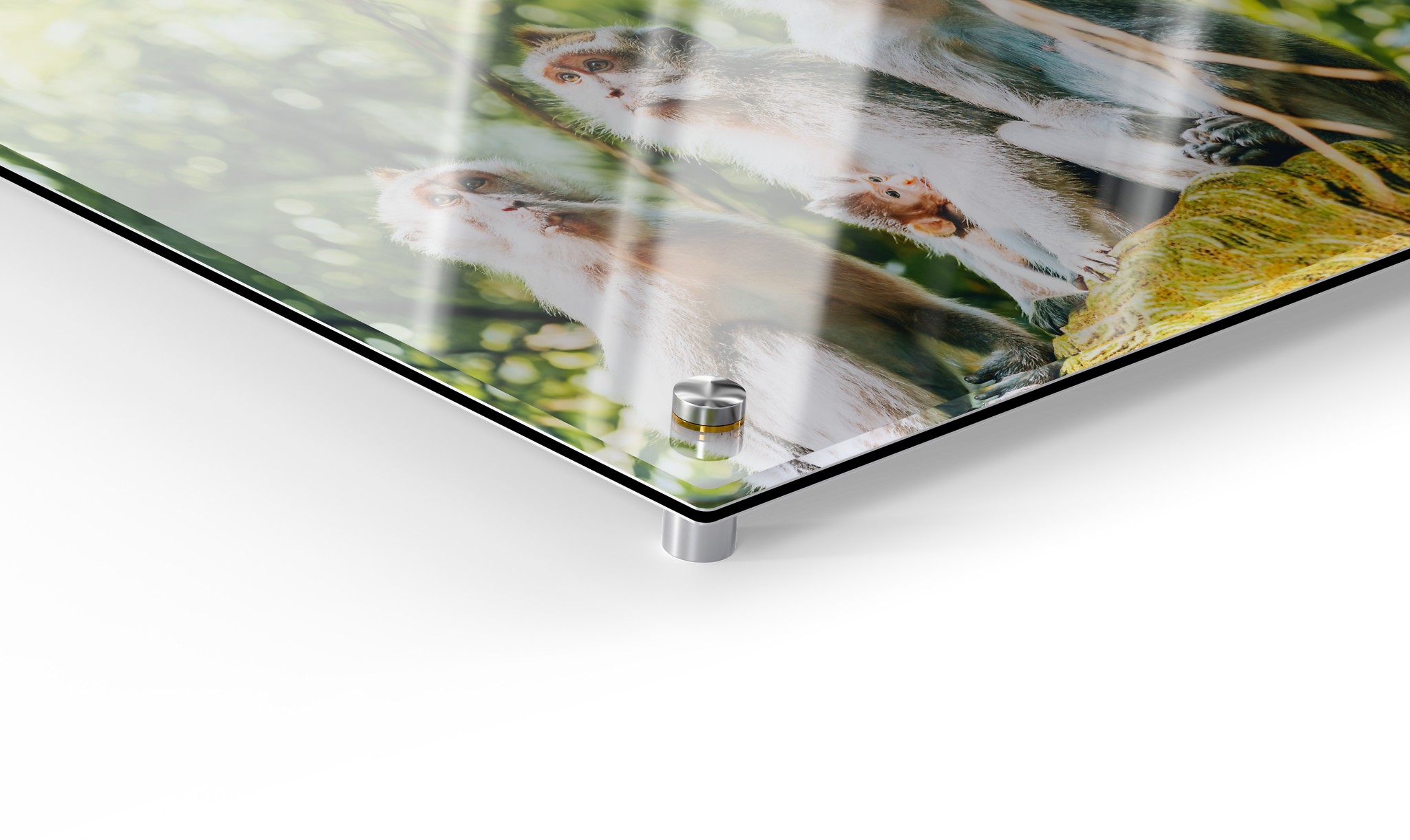 Wandbilder Foto als Galerie-Print Detailansicht mit einem Landschaftsfoto