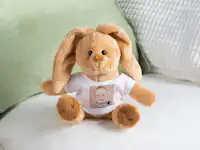 Peluche personalizado en forma de conejo