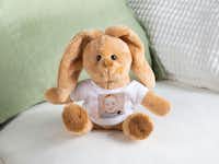 Doudou photo lapin Doudou photo lapin