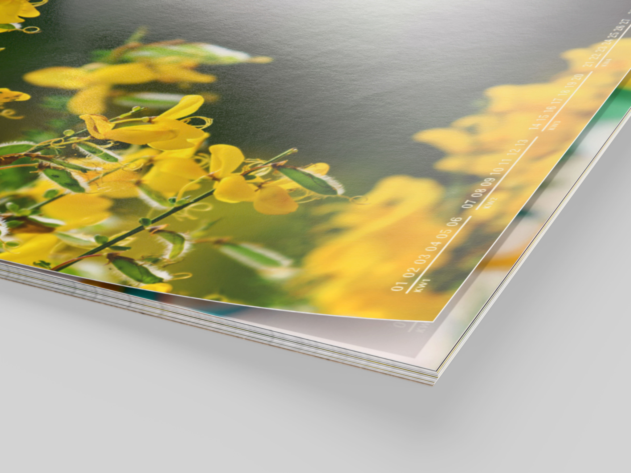Fotokalender mit gelbem Blumenmuster  auf Premiumpapier EcoWhite