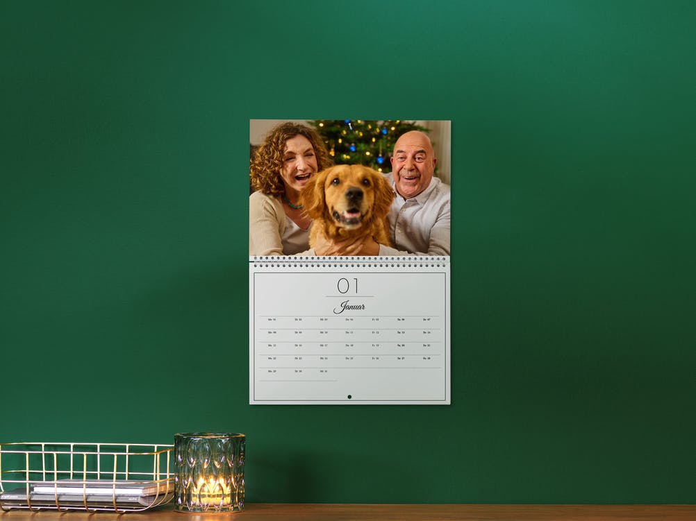 Calendario plegable A4 en una pared verde con la foto de una pareja y un perro 