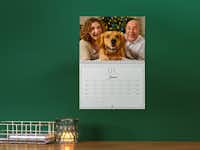 Pixum Fotokalender A4-foldekalender med et billede af et par med hund på en grøn væg