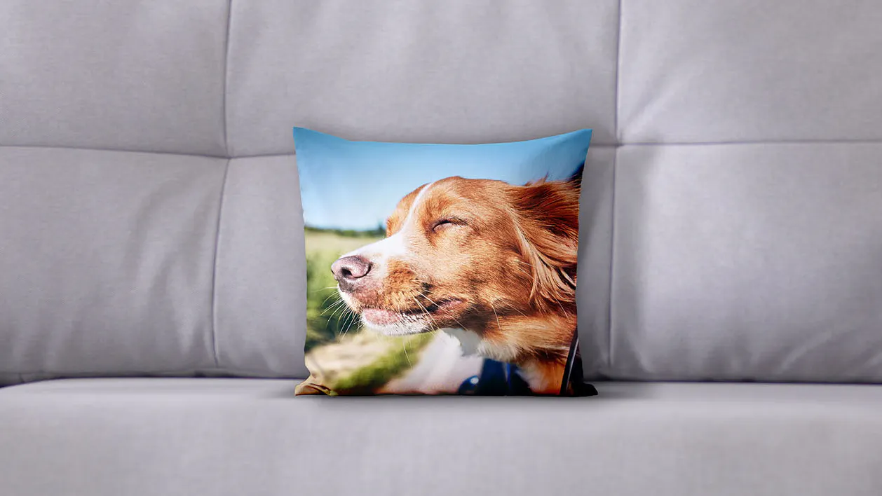 Photo cushion 30x30 dog Photo cushion 30x30 dog