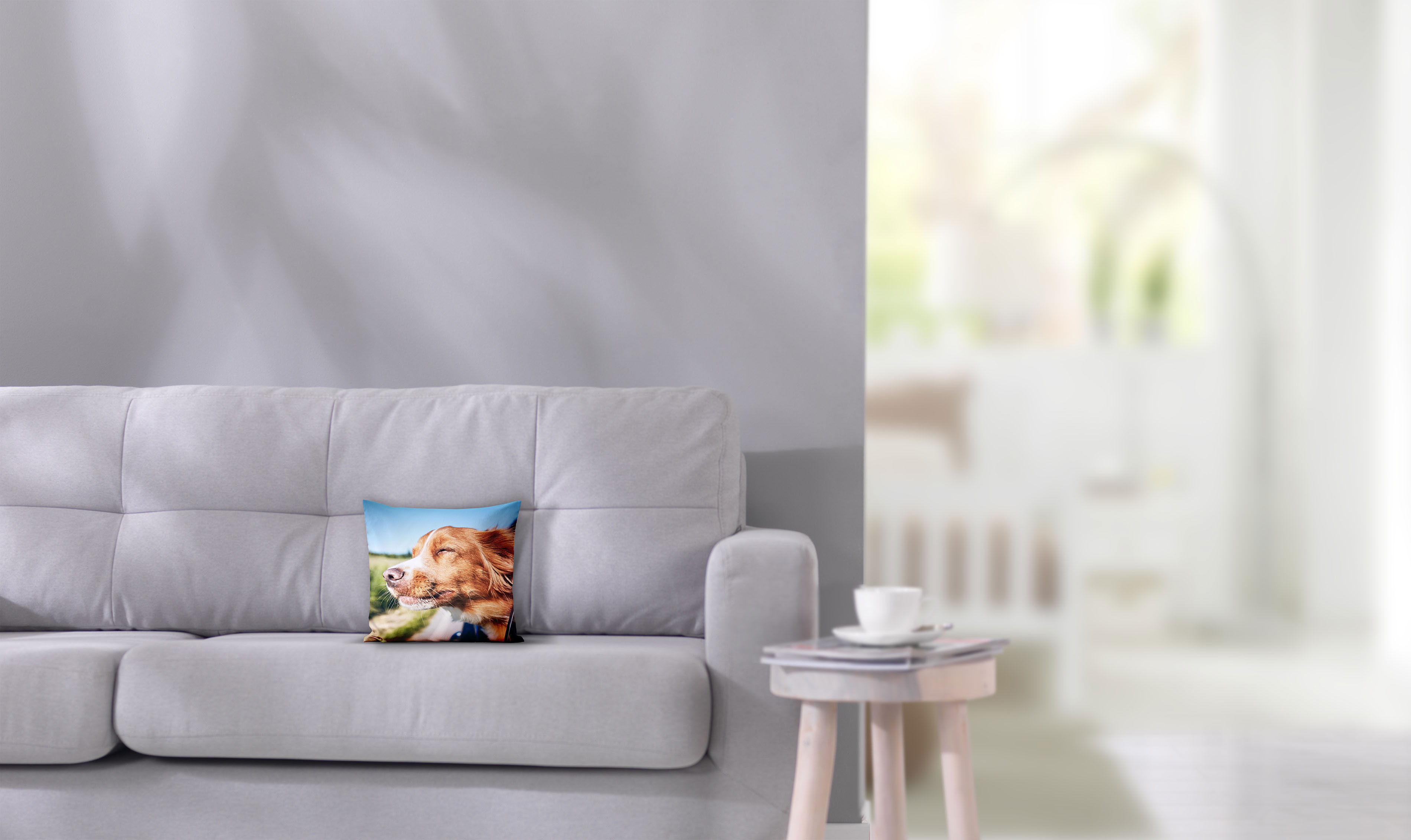 Fotokissen 30x30 mit Hundemotiv auf einem Sofa.