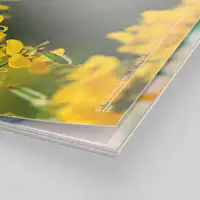 Fotokalender mit Premiumpapier matt Fotokalender mit Premiumpapier matt