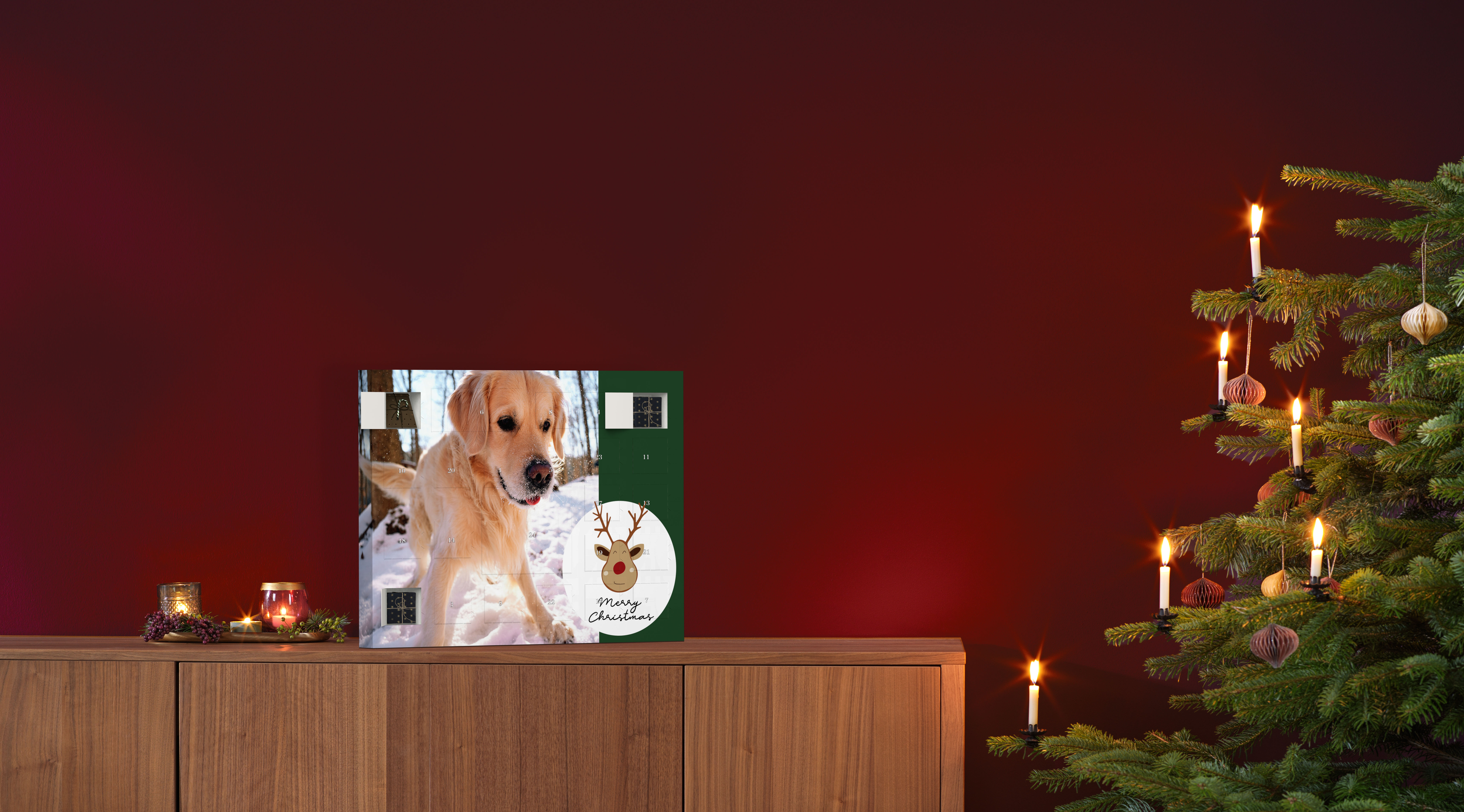 Advent Calendar For Your Pet