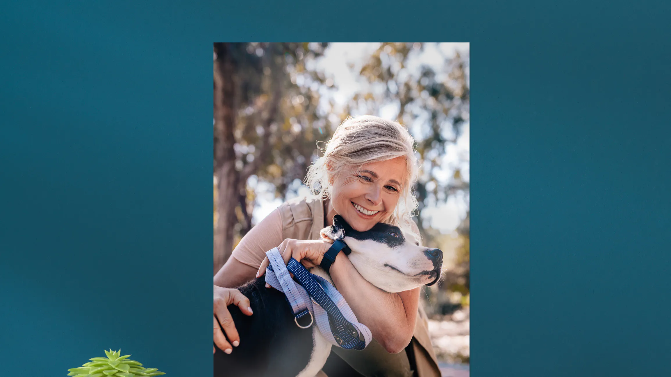 Poster photo grand format