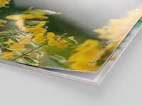Fotokalender mit Premiumpapier glänzend Fotokalender mit einem gelben Blumenmuster auf Premiumpapier glänzend