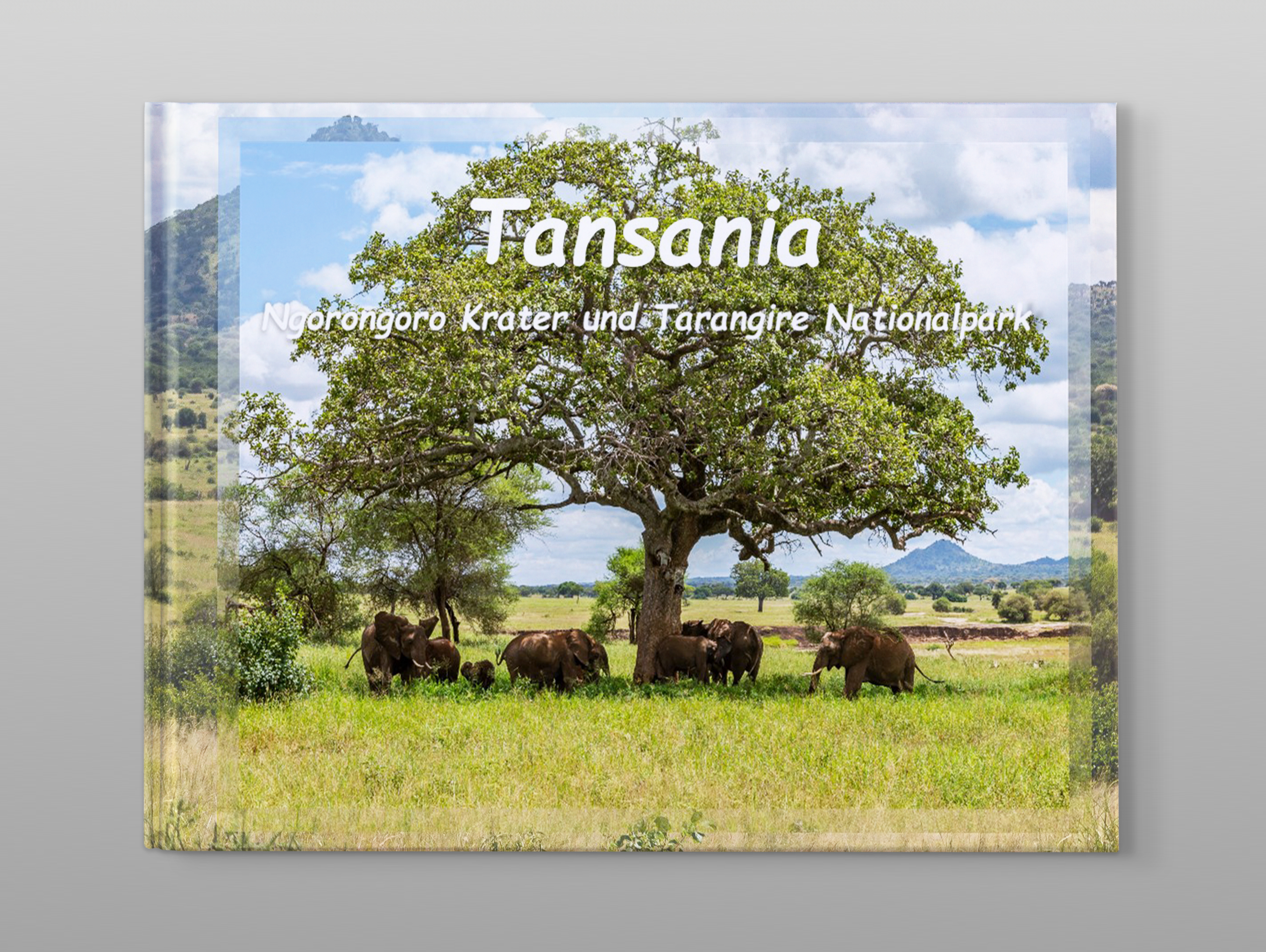 Cover eines Pixum Fotobuch Kundenbeispiels von Tansania vor grauem Hintergrund